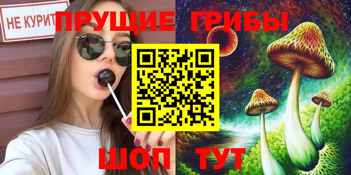 Псилоцибиновые грибы мицелий Свободный